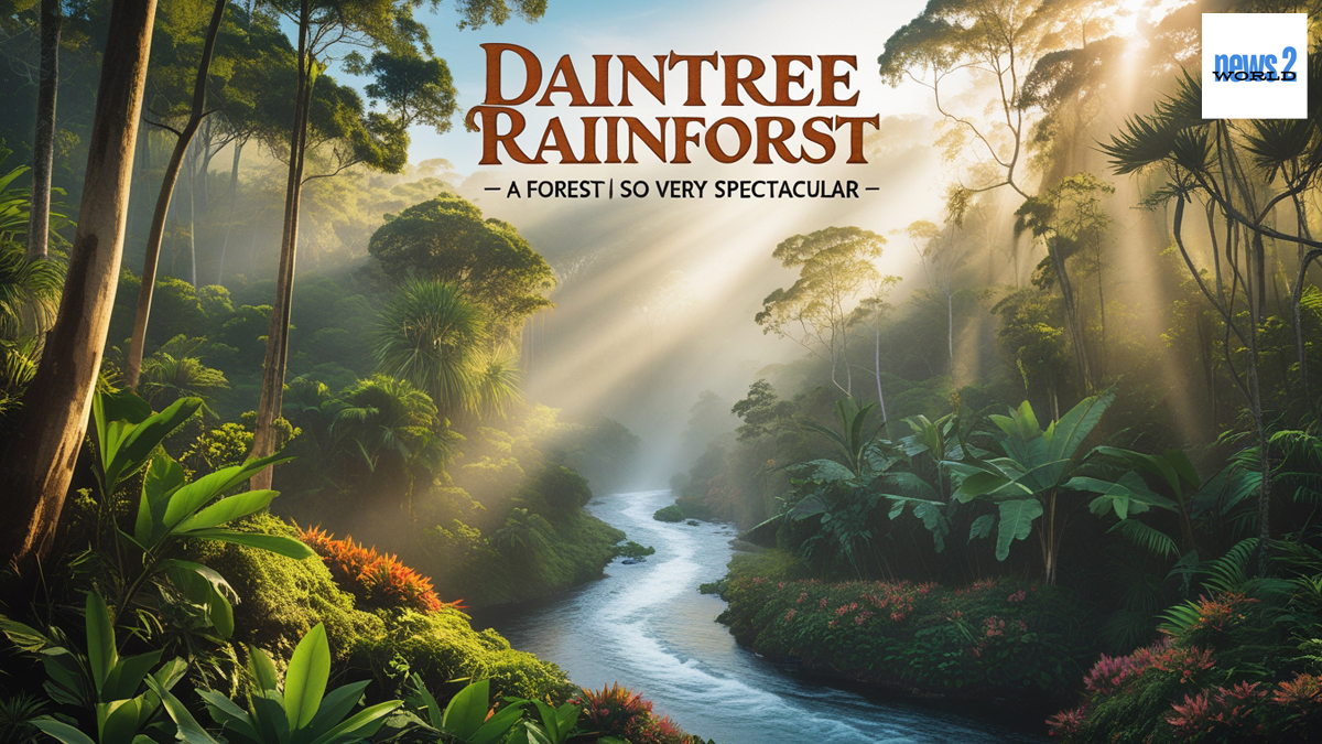 Daintree Rainforest, Australia – Spectacular view